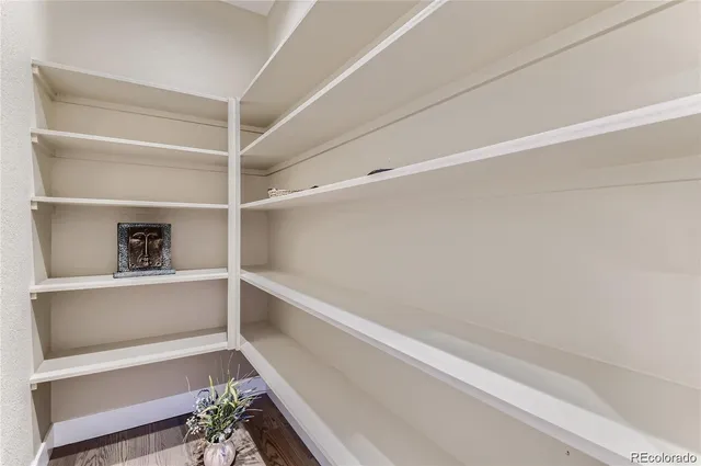 a view of an empty walk in closet