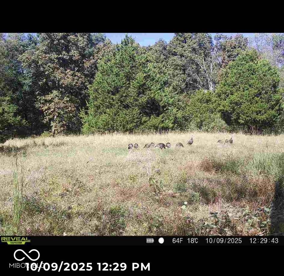 1 Beech Tree Road Nineveh, IN 46164 - Photo 22 of 29