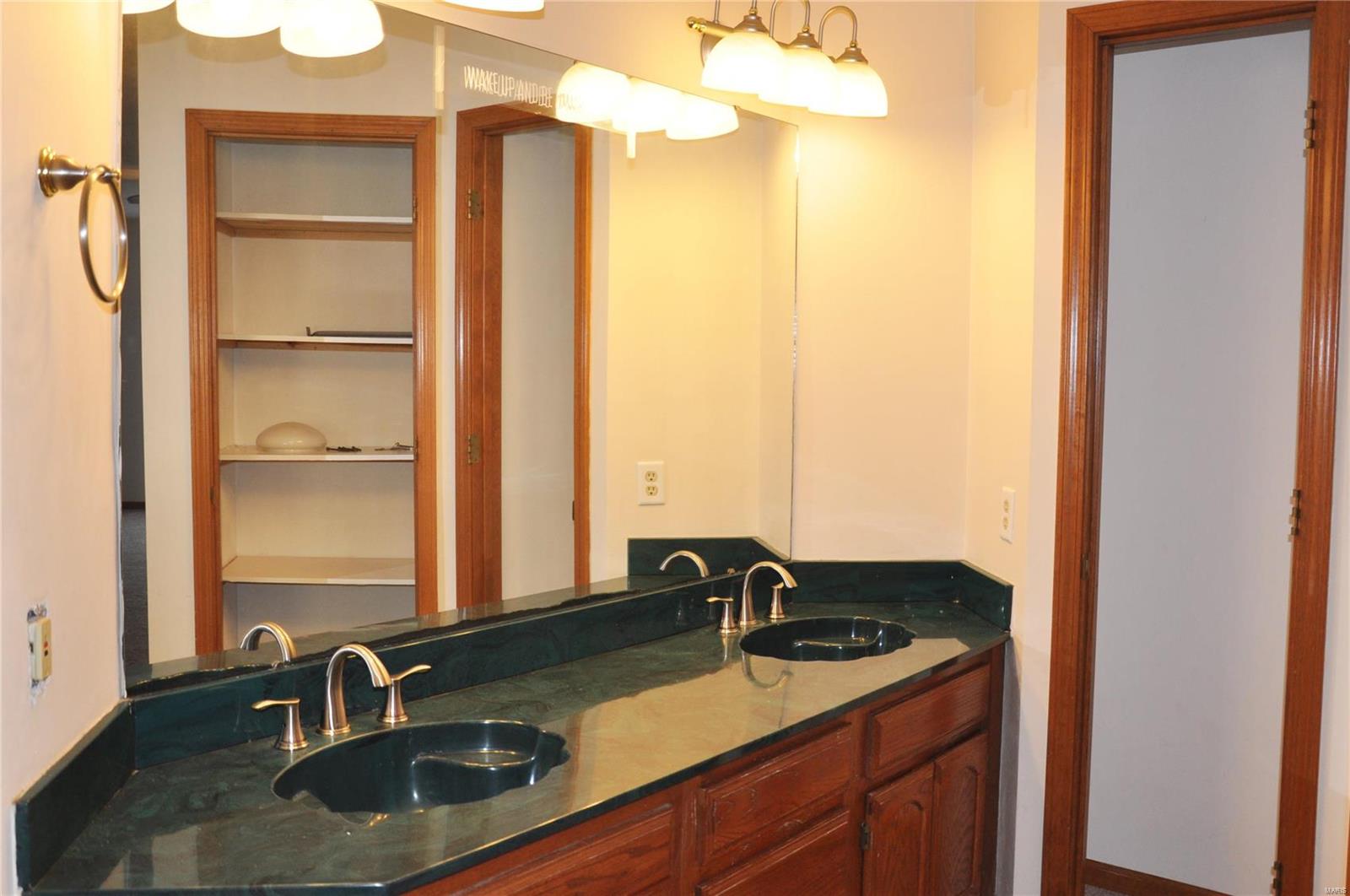 3729 Rhetts Landing Shiloh, IL 62221 - Photo 20 of 30 Gallery Image 20