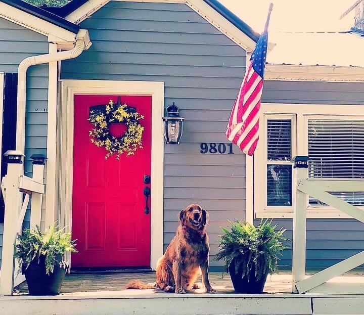 9801 East Emory Road Corryton, TN 37721 - Photo 2 of 39 FRONT DOOR