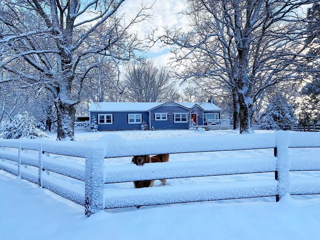 9801 East Emory Road Corryton, TN 37721 - Photo 6 of 39 FRONT VIEW WITH SNOW