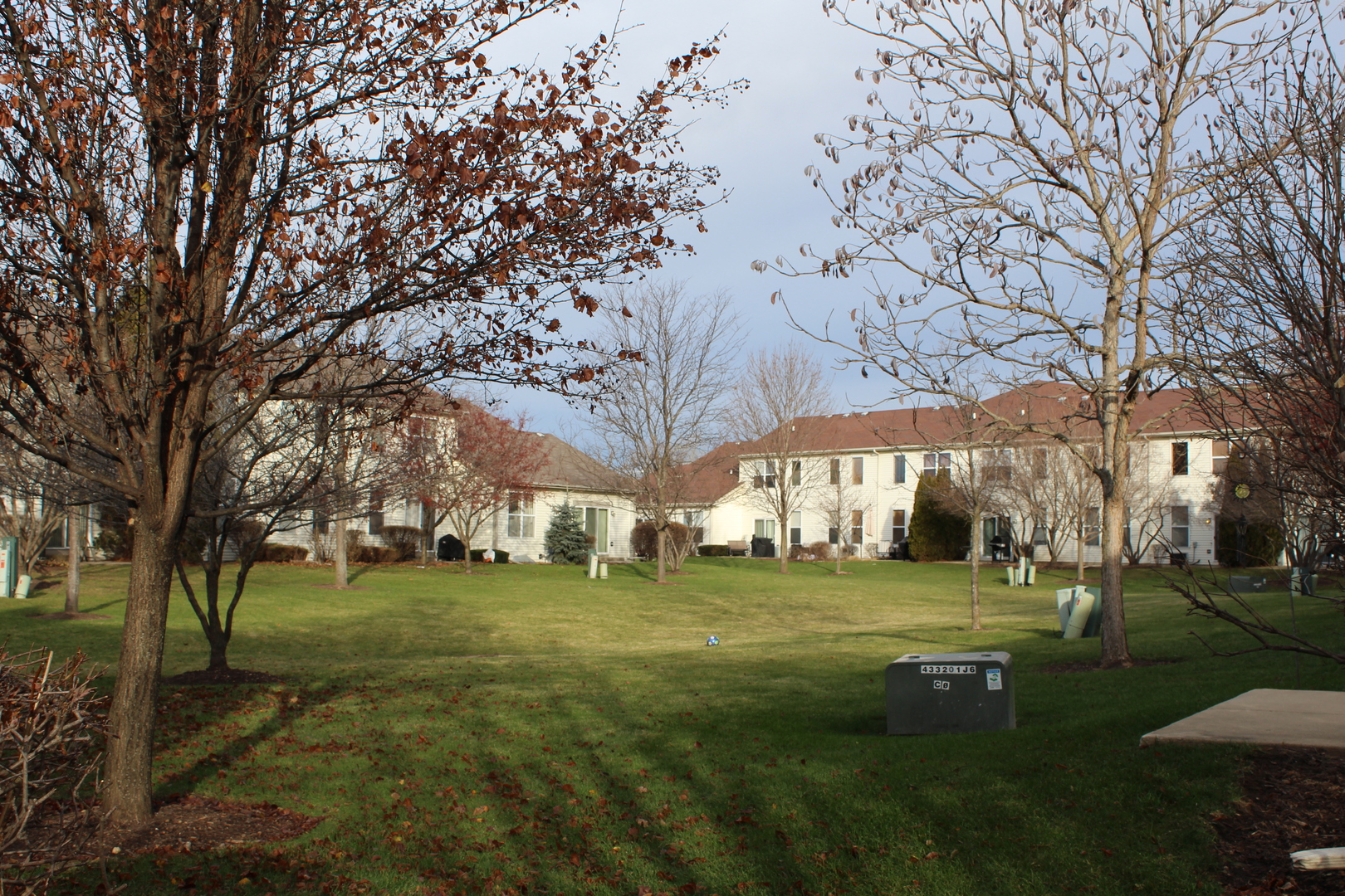1499 Keystone Court, Unit 423 Elgin, IL 60120 - Photo 18 of 18 a big yard with lots of green space and trees