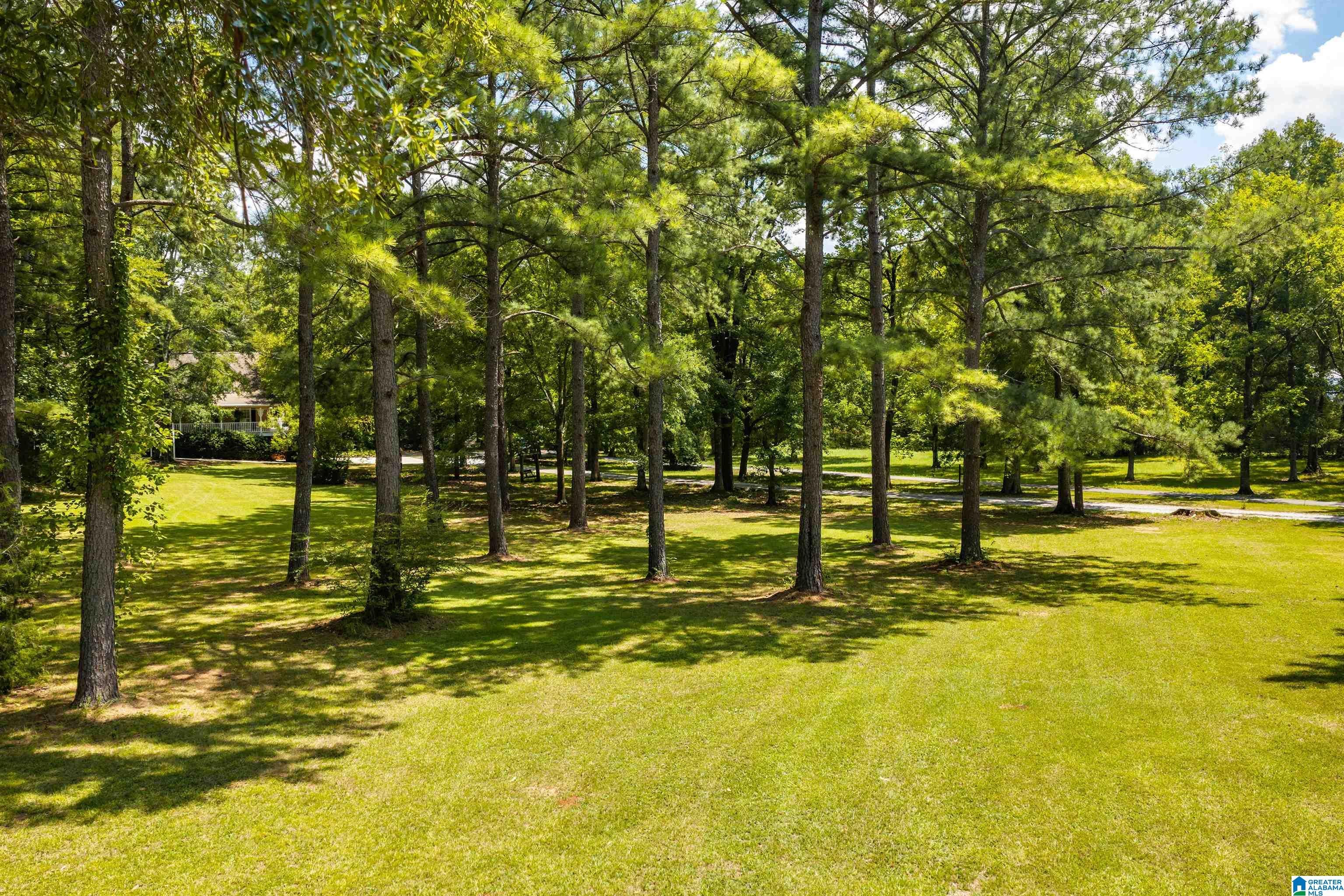 2314 Salem Road Montevallo, AL 35115 - Photo 68 of 69 Gallery Image 68