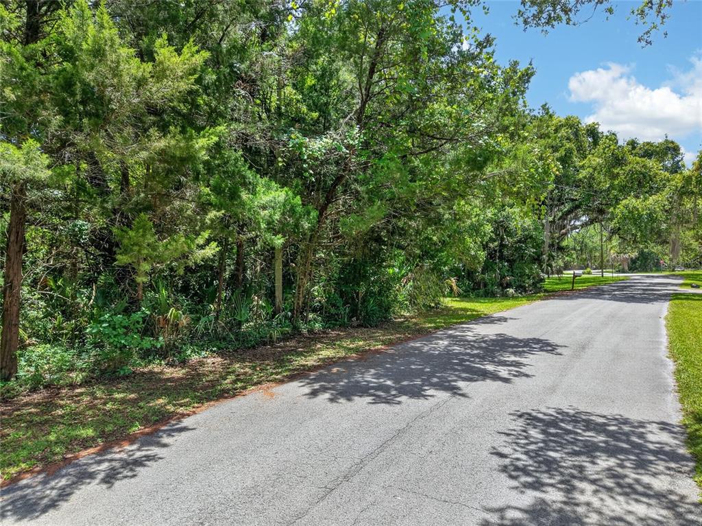0 Southwest Palm Point Inglis, FL 34449 - Photo 3 of 8