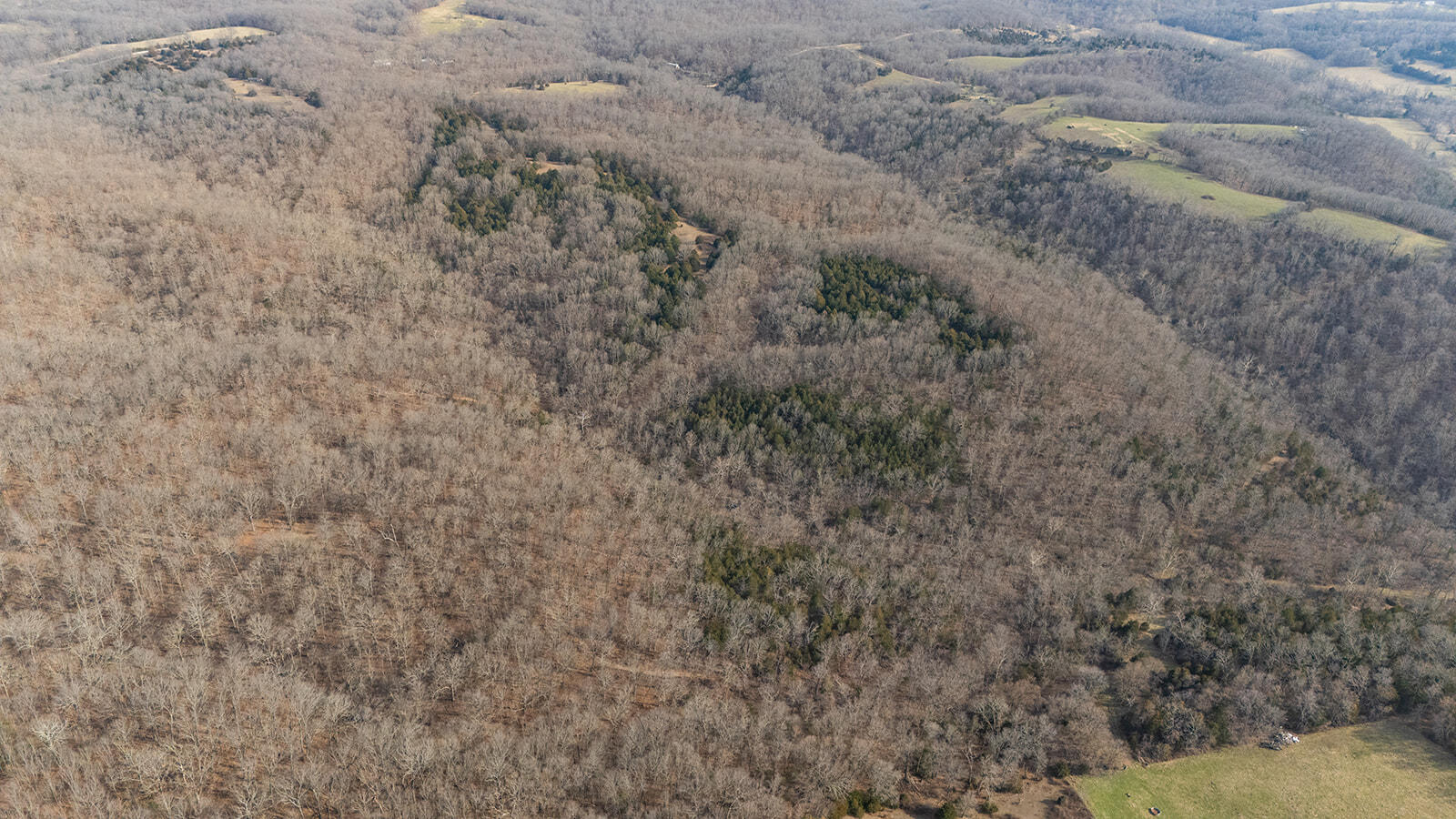 0 Abadyl Road Fordland, MO 65652 - Photo 14 of 25 DJI_20260303152717_0024_D