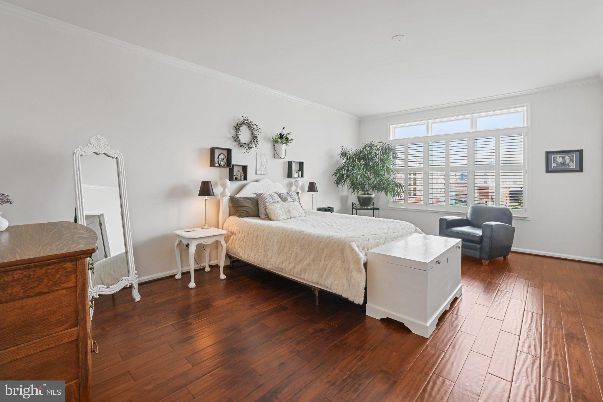 1406 Ribbon Limestone Terrace Southeast Leesburg, VA 20175 - Photo 12 of 39 Light Filled Primary Bedroom