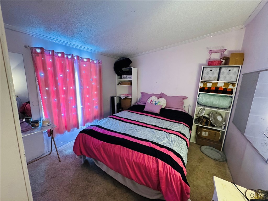 1024 Sixty 6 Road Hannibal, NY 13074 - Photo 13 of 21