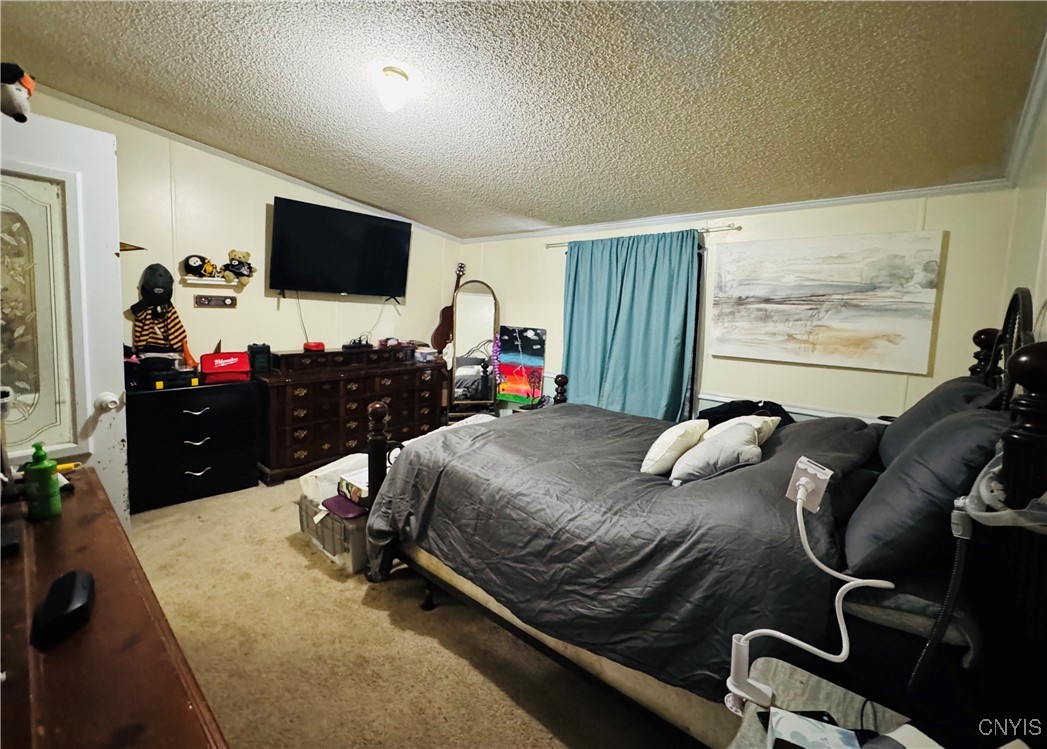 1024 Sixty 6 Road Hannibal, NY 13074 - Photo 15 of 21