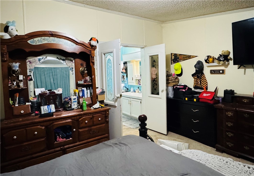 1024 Sixty 6 Road Hannibal, NY 13074 - Photo 17 of 21