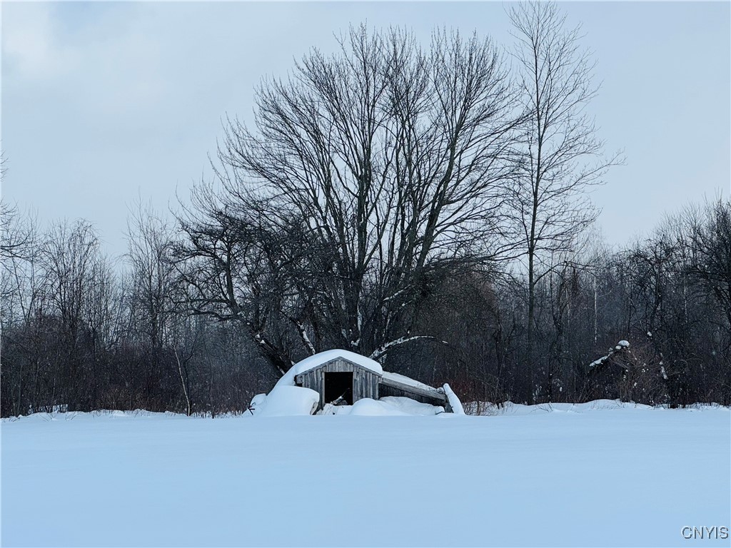 1024 Sixty 6 Road Hannibal, NY 13074 - Photo 6 of 21