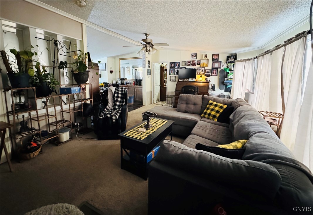 1024 Sixty 6 Road Hannibal, NY 13074 - Photo 8 of 21