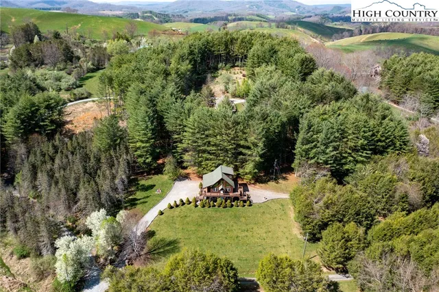 a view of a garden with a bench and trees