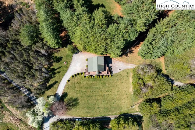 a view of a garden with plants and large trees