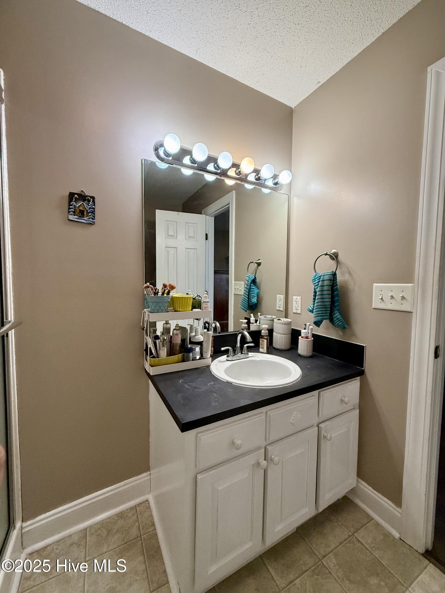 3940 Fire Dept Road Williamston, NC 27892 - Photo 49 of 51 Master Bathroom