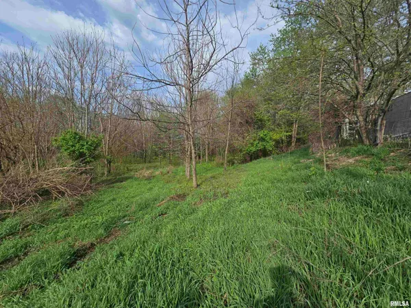 $29,900 | 26261 Highway 96, New Canton, IL 62356