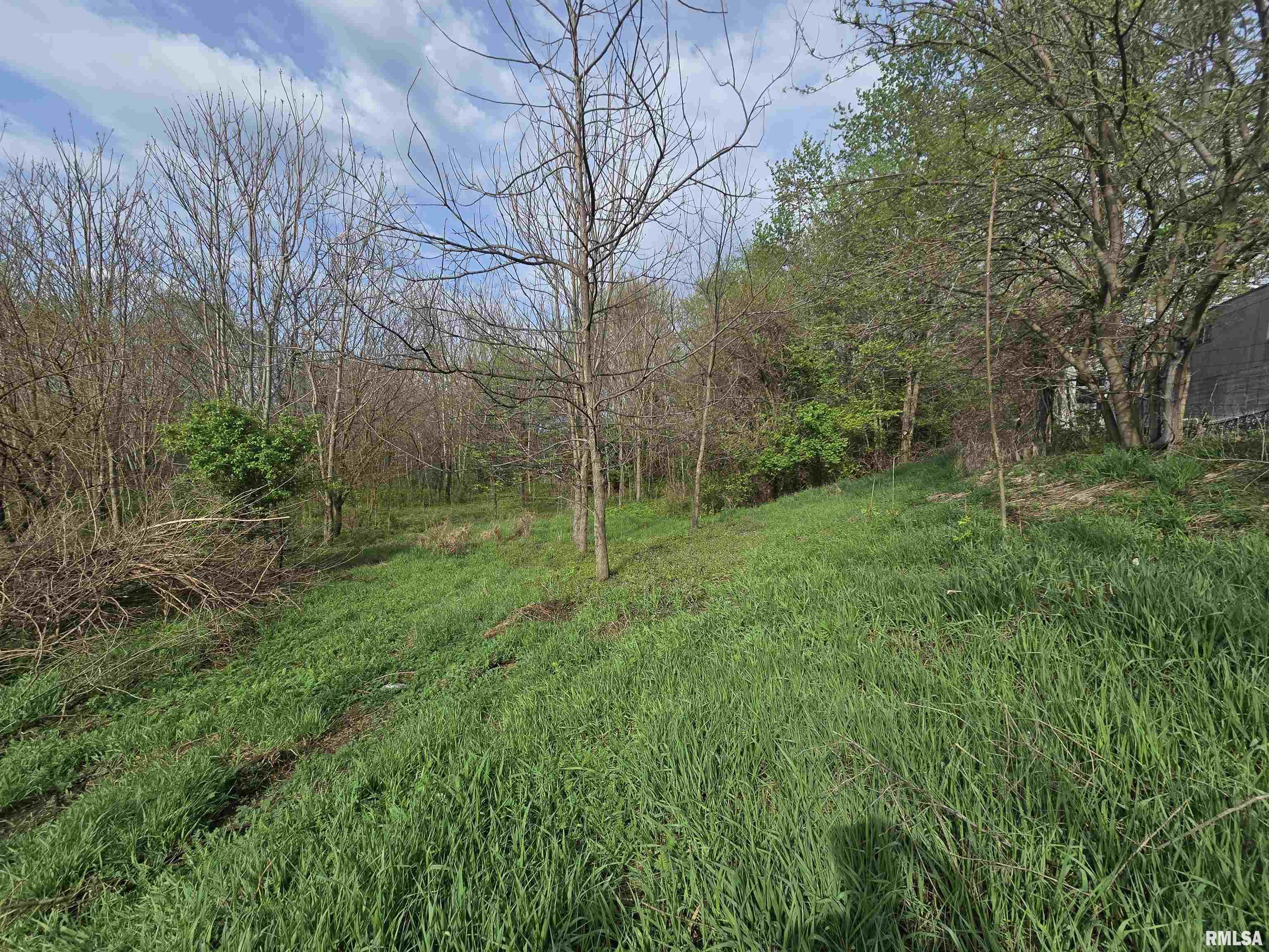 26261 Highway 96 New Canton, IL 62356 - Photo 11 of 18