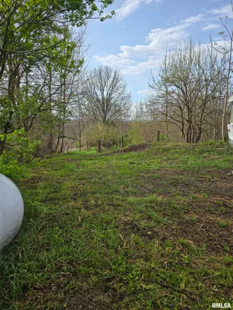 $29,900 | 26261 Highway 96, New Canton, IL 62356