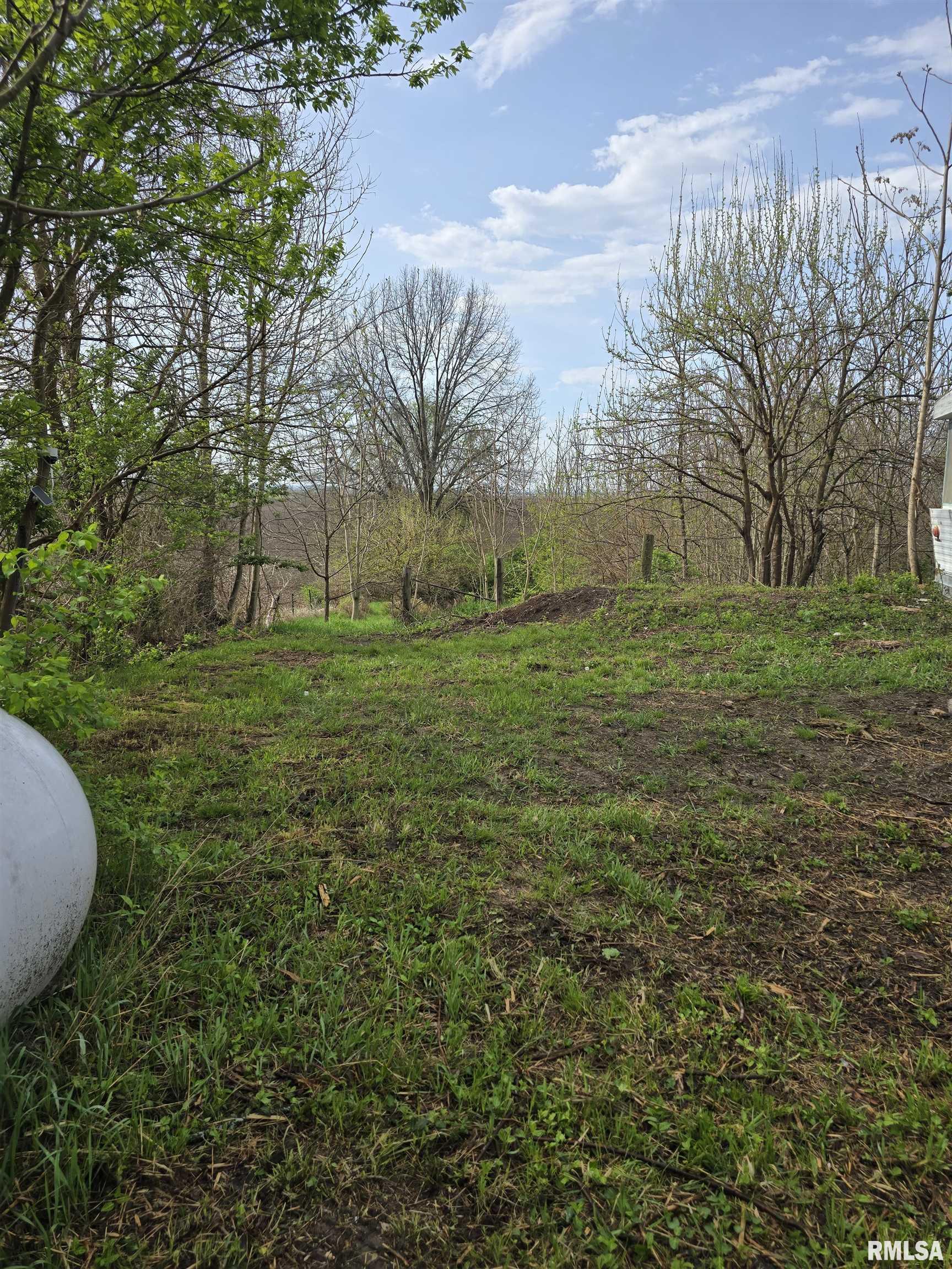 26261 Highway 96 New Canton, IL 62356 - Photo 6 of 18