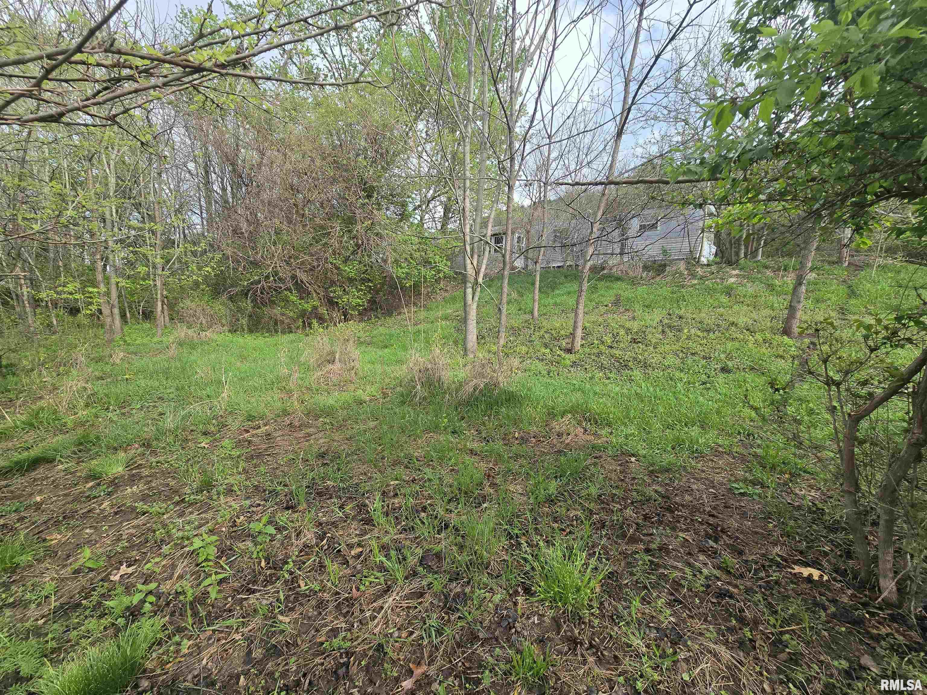 26261 Highway 96 New Canton, IL 62356 - Photo 7 of 18