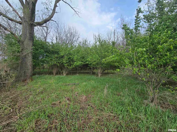 $29,900 | 26261 Highway 96, New Canton, IL 62356