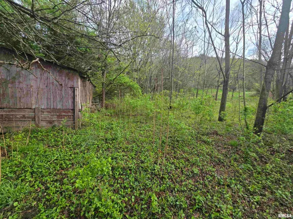 $29,900 | 26261 Highway 96, New Canton, IL 62356