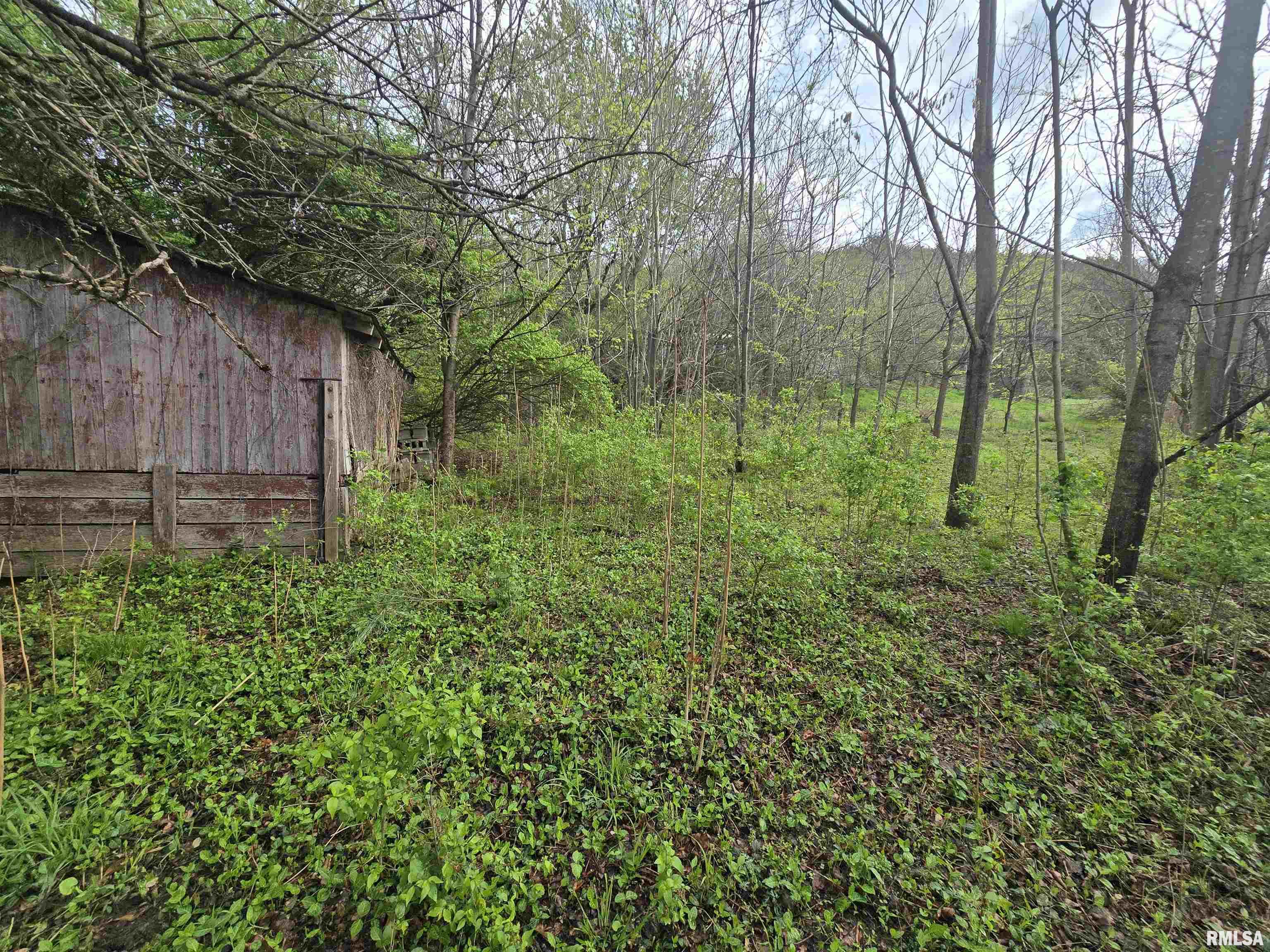 26261 Highway 96 New Canton, IL 62356 - Photo 9 of 18