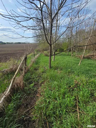 $29,900 | 26261 Highway 96, New Canton, IL 62356