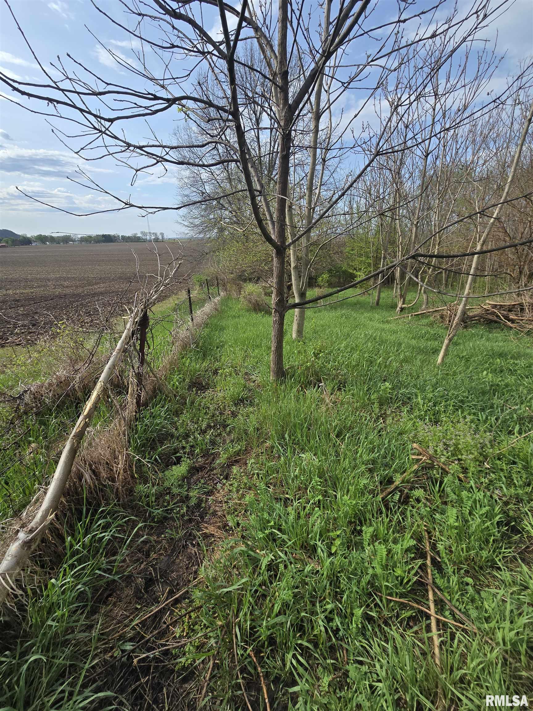 26261 Highway 96 New Canton, IL 62356 - Photo 10 of 18