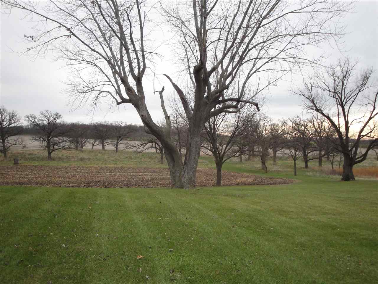 8005 Kishwaukee Road Stillman Valley, IL 61084 - Photo 10 of 12 a view of garden with trees