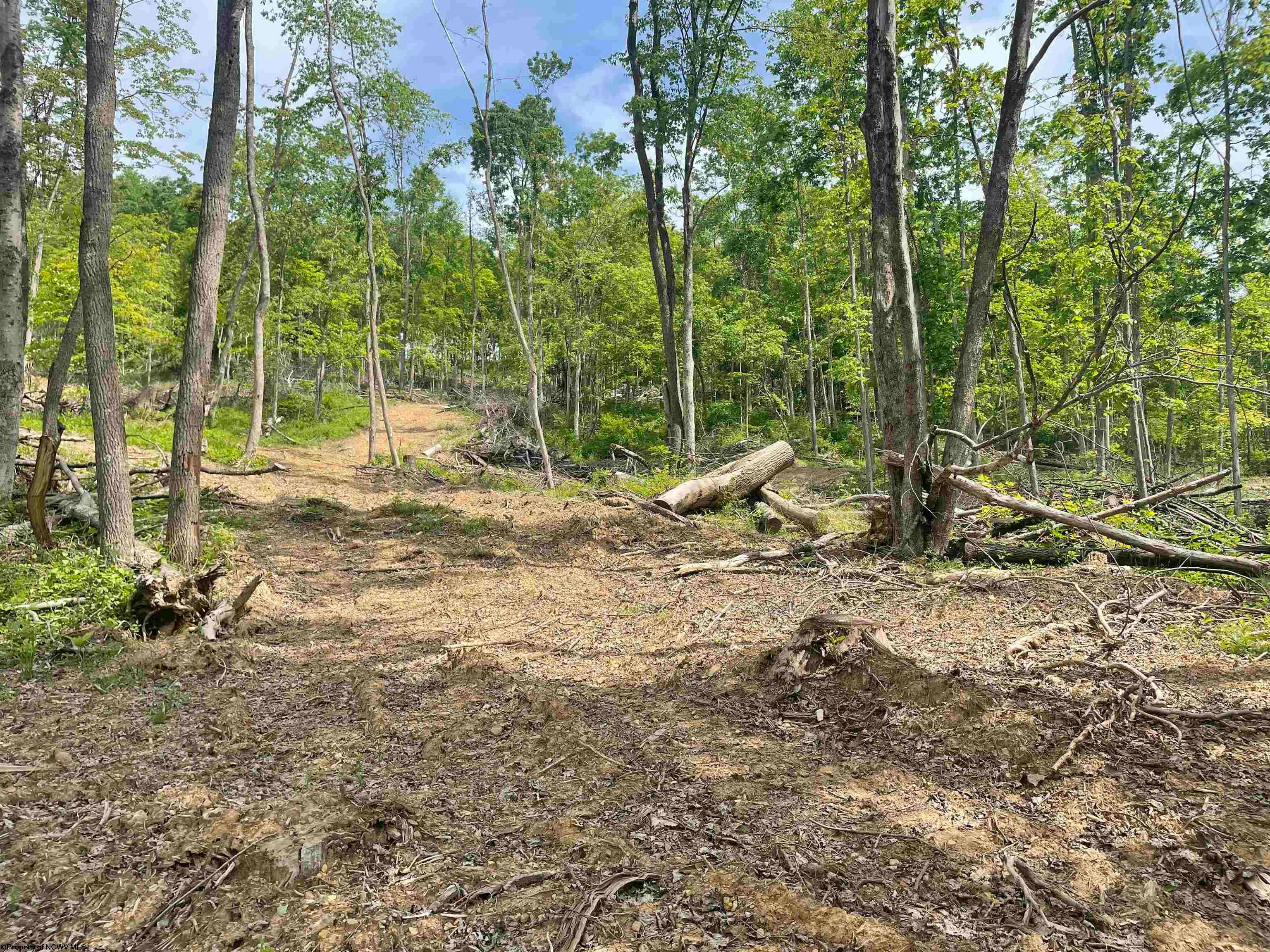 Tbd River Run Road Fairmont, WV 26554 - Photo 5 of 9 Gallery Image 5