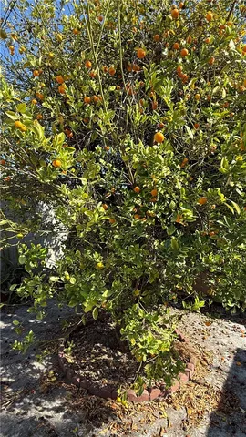 $1,199,000 | 42 West Mountain View Street, Long Beach, CA 90805