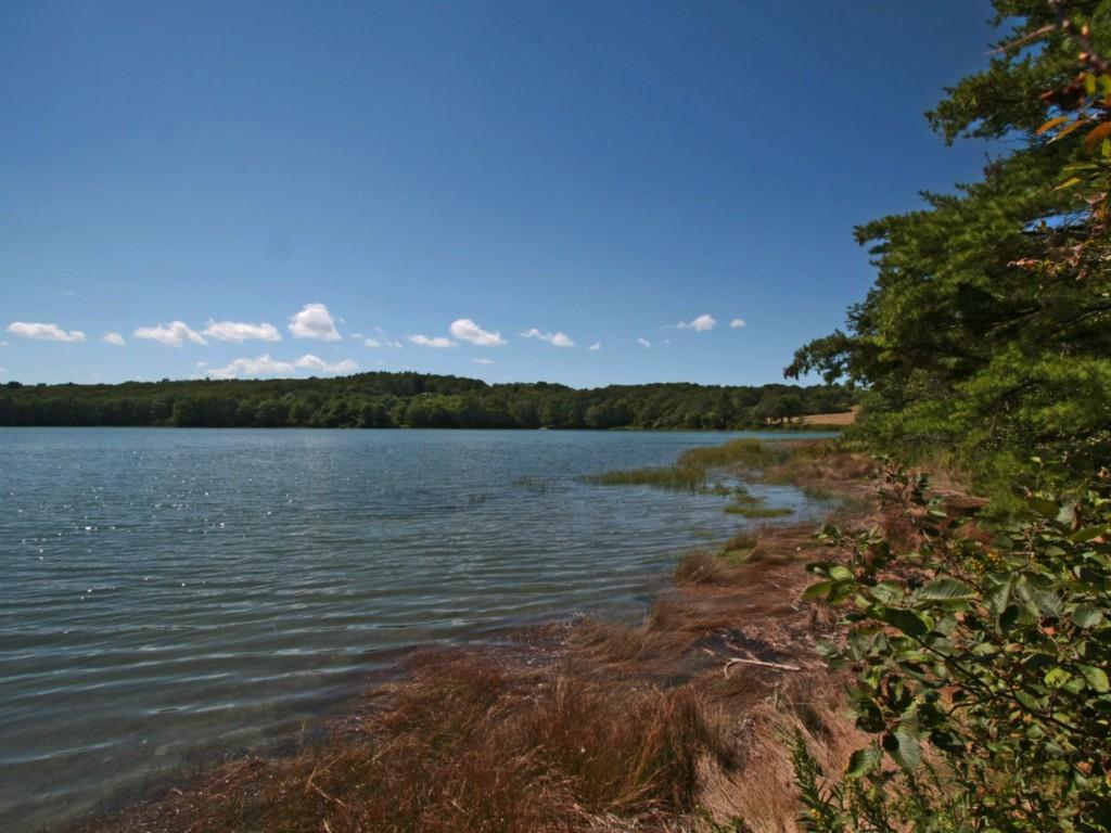 55 Storer Road Bremen, ME 04551 - Photo 33 of 34 Shore.