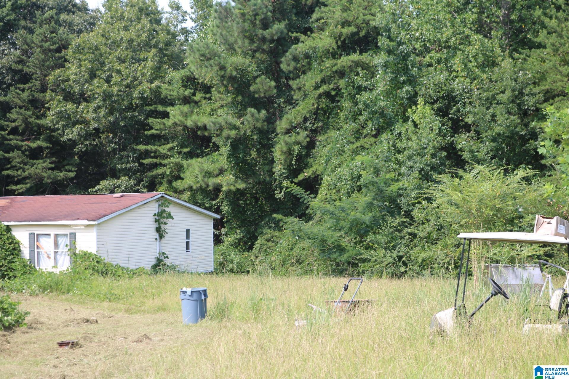 1920 Bruce Shaw Road Adger, AL 35006 - Photo 6 of 15