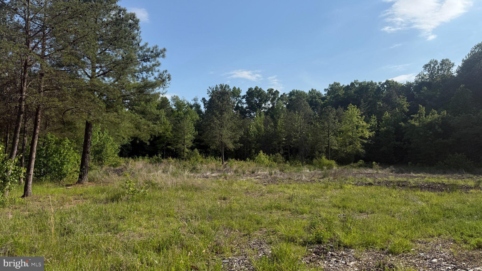 1377 Meyers Station Road Odenton, MD 21113 - Photo 1 of 17 Serene clearing by lush woodlands.