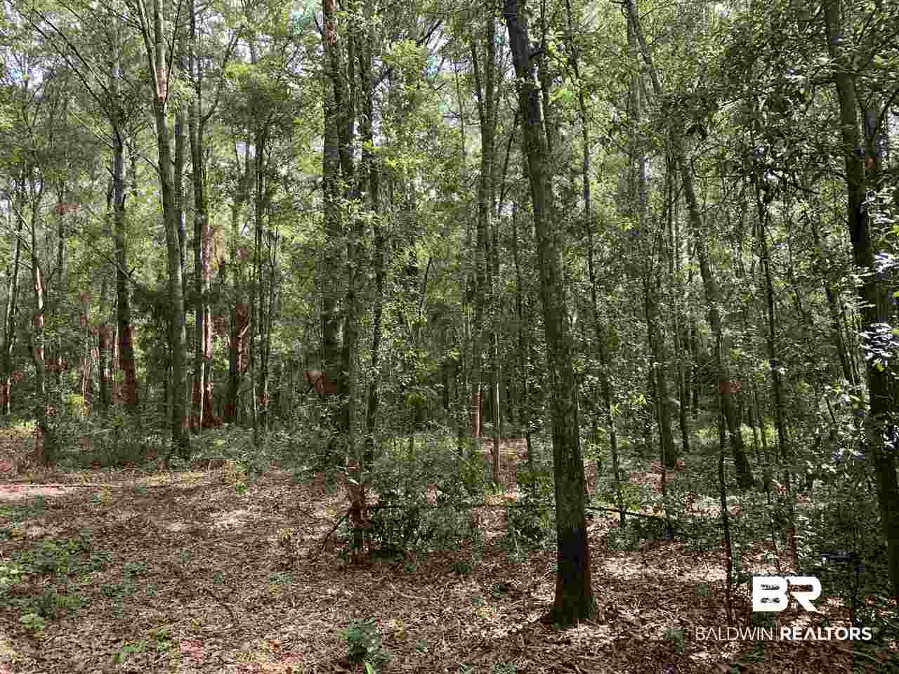 6 Sherwood Highland Road Fairhope, AL 36532 - Photo 1 of 6