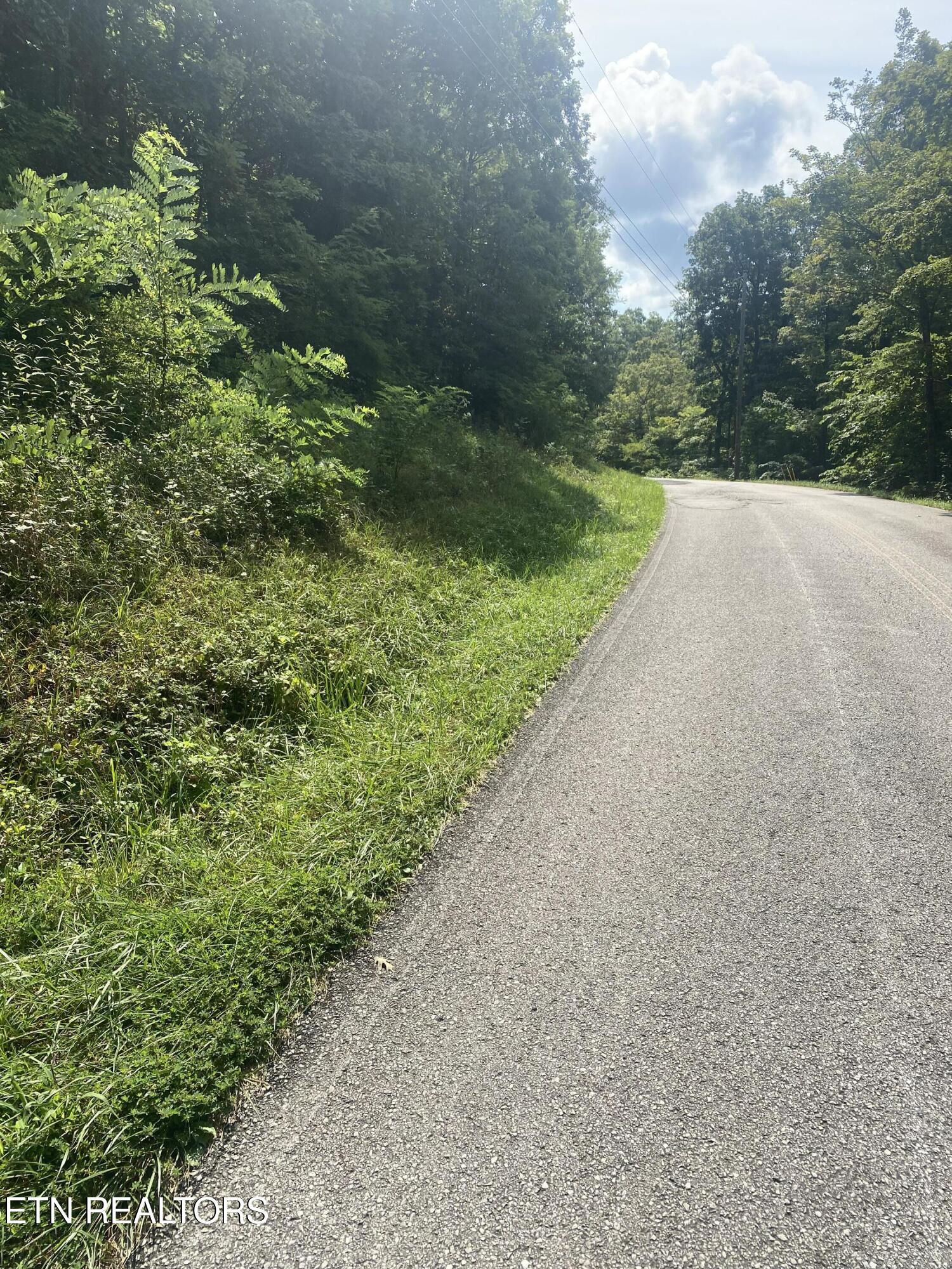 44-acres Sheep Bluff Road Cookeville, TN 38506 - Photo 2 of 23 IMG_2945