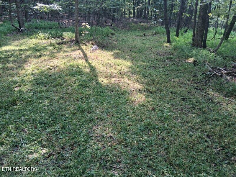 44-acres Sheep Bluff Road Cookeville, TN 38506 - Photo 23 of 23 892919308