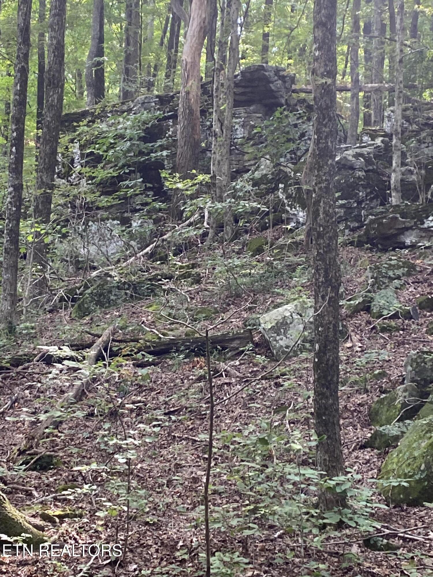 44-acres Sheep Bluff Road Cookeville, TN 38506 - Photo 8 of 23 IMG_2933