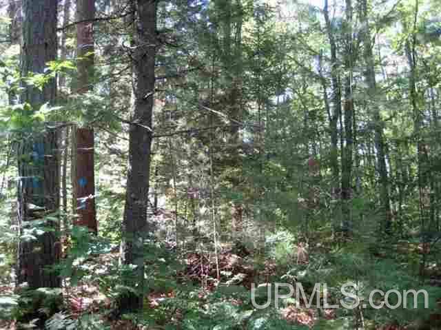 Tbd Powell Lake Road, Unit 6 Wetmore, MI 49895 - Photo 5 of 9 Gallery Image 5