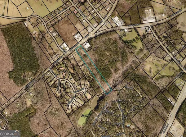 a black and white photo of a tree