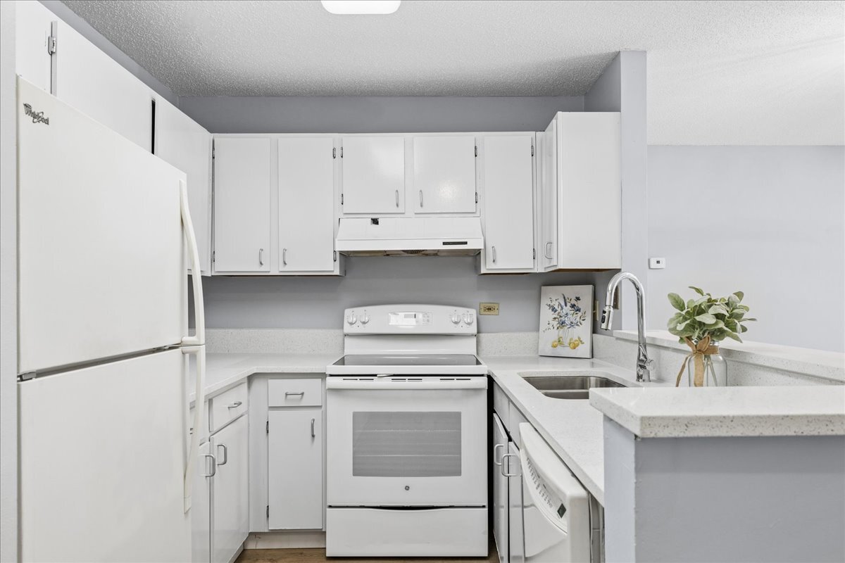 1911 North Hicks Road, Unit 103 Palatine, IL 60074 - Photo 2 of 19