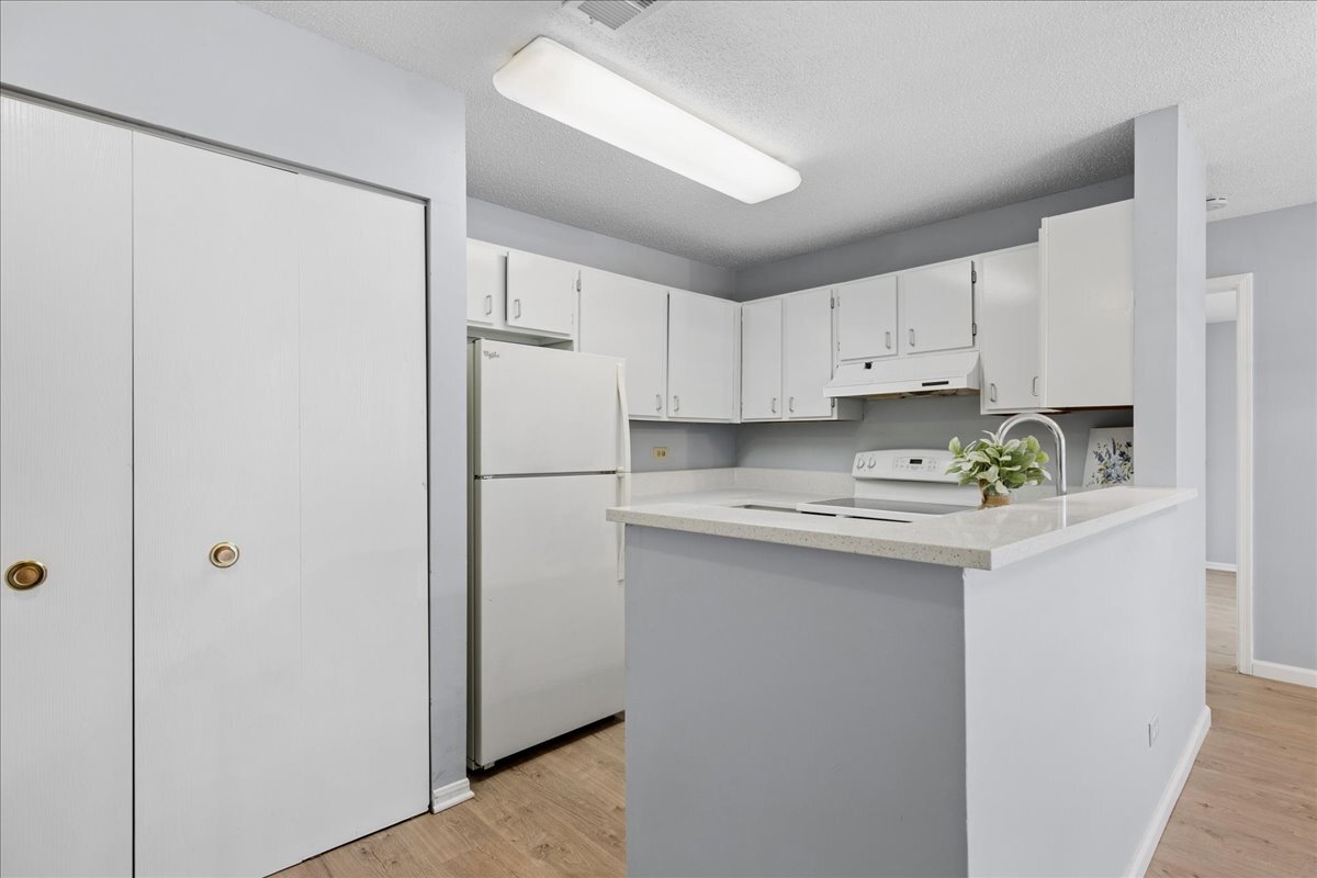 1911 North Hicks Road, Unit 103 Palatine, IL 60074 - Photo 3 of 19