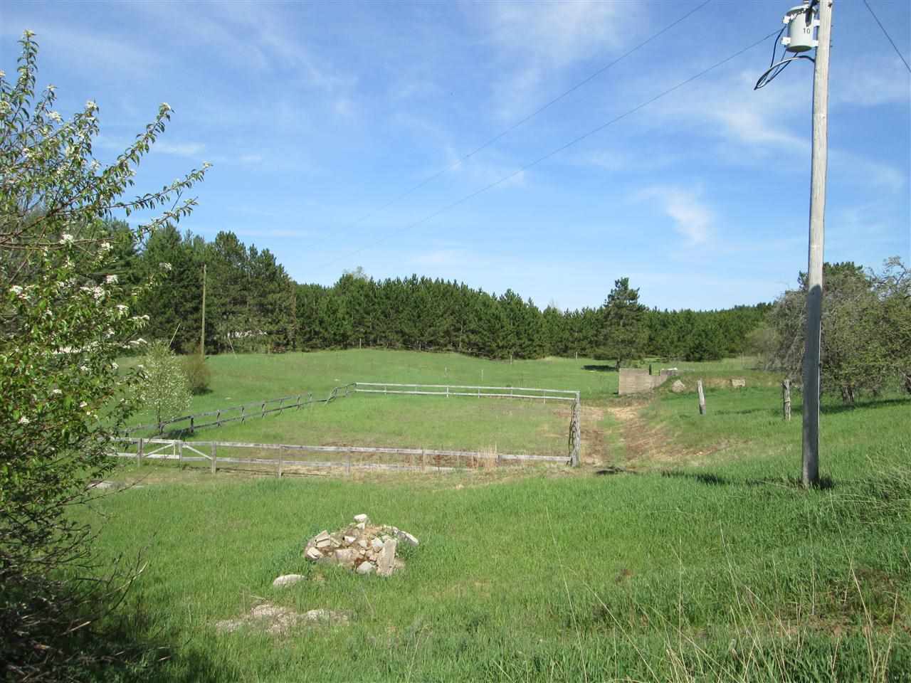 1300 Tyler Road Southeast Kalkaska, MI 49646 - Photo 15 of 63 1785022-14.JPG