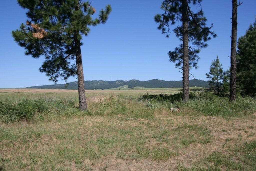 11818 South Madison Road Valleyford, WA 99036 - Photo 20 of 20 Gallery Image 20