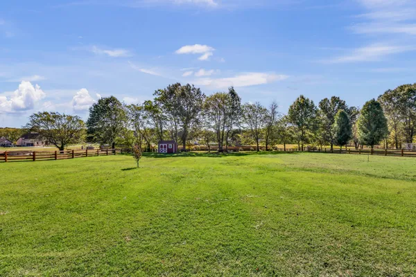a view of a green field
