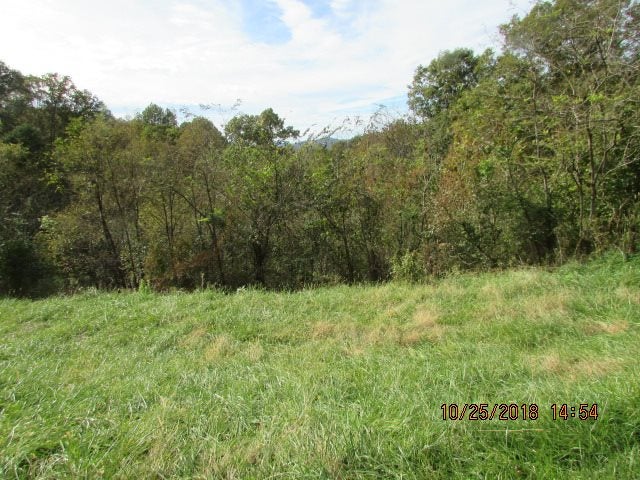 10 Wildwood Road Ona, WV 25545 - Photo 4 of 7 Gallery Image 4