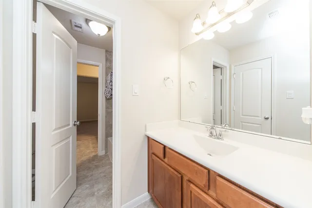 a bathroom with a sink vanity and a mirror