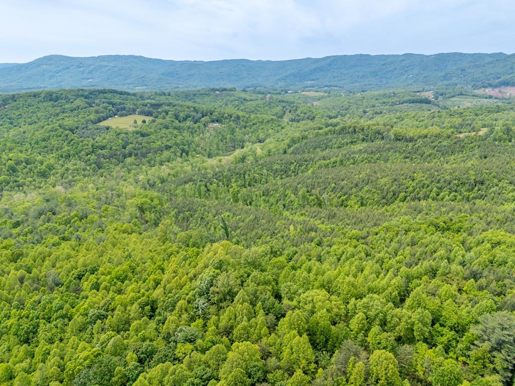 Tbd Ahart Ridge Road, Unit 58 60 61 Ararat, VA 24053 - Photo 17 of 54 Gallery Image 17