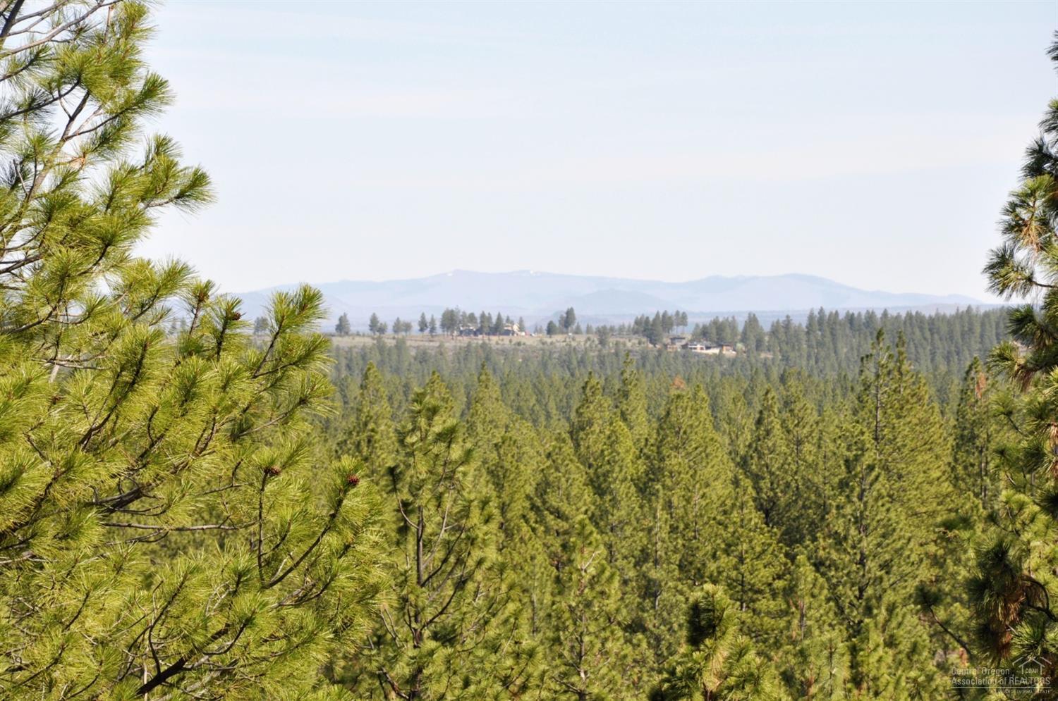 62755 Service Road Bend, OR 97703 - Photo 15 of 24 In the middle of the property looking South.