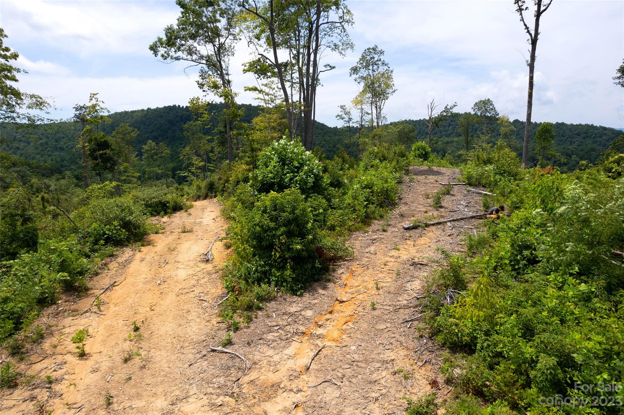 Tbd Nancy Mountain Road Rosman, NC 28772 - Photo 34 of 44 Gallery Image 34
